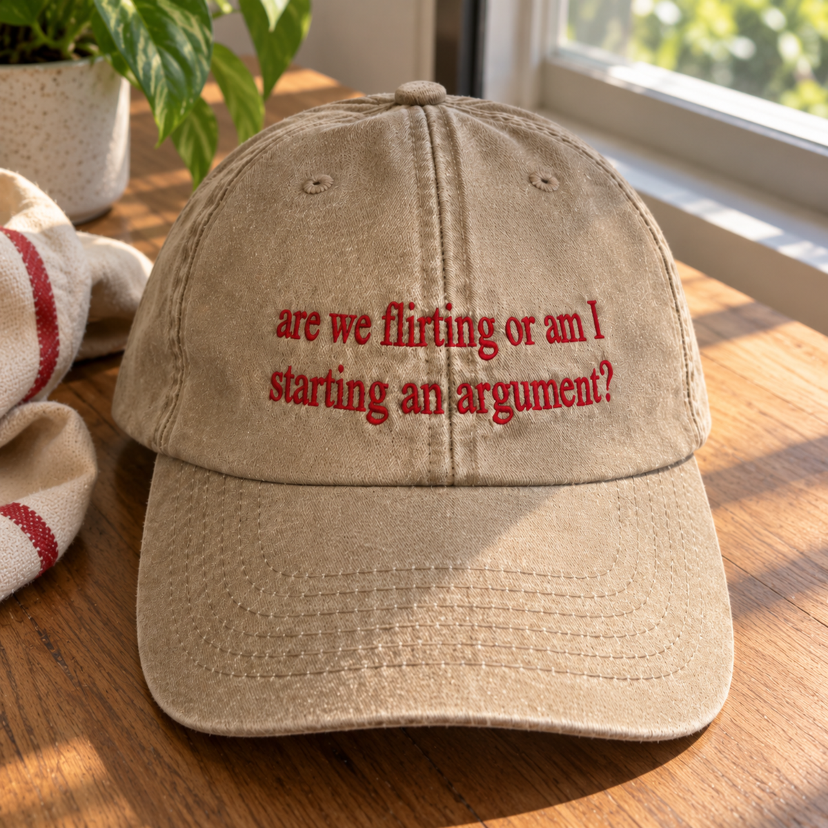Flirting or Am I Starting an Argument Embroidered Washed Cap