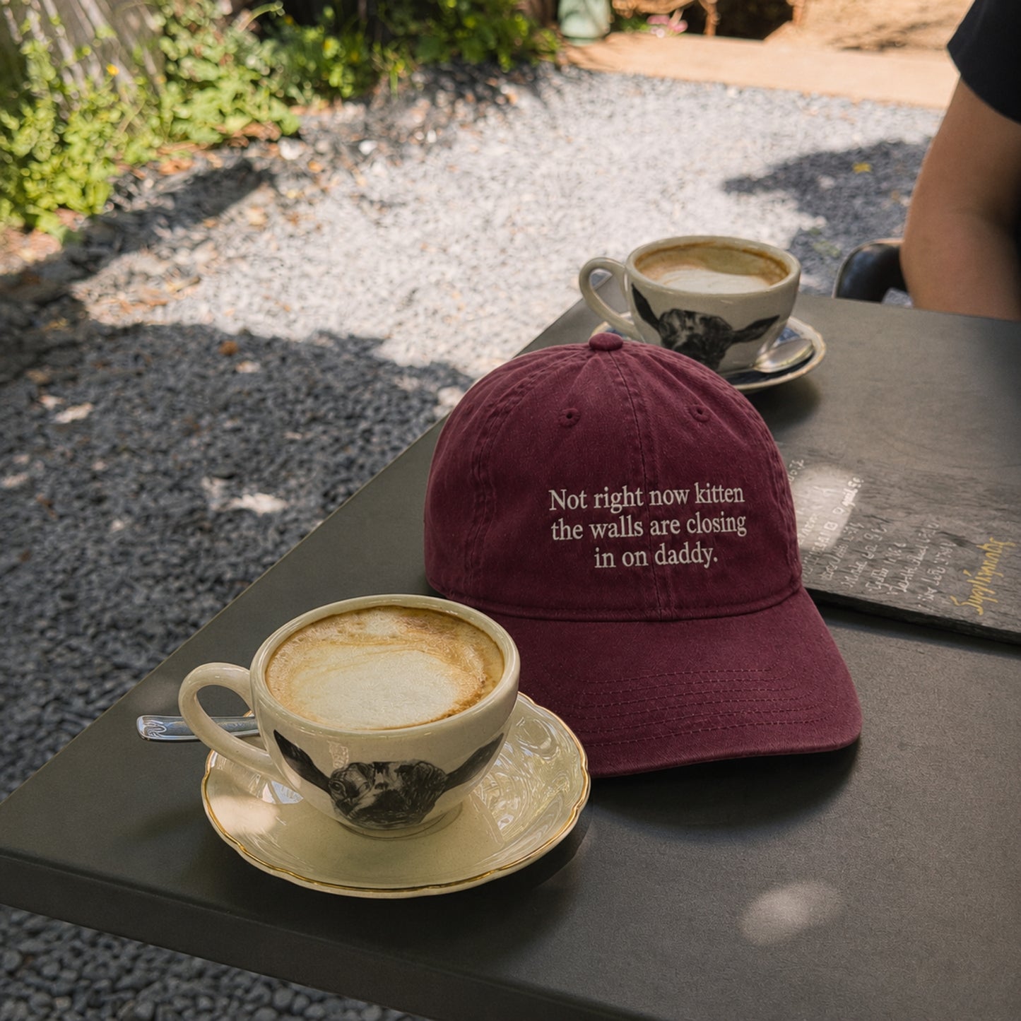 Not Right Now Kittens Embroidered Washed Cap