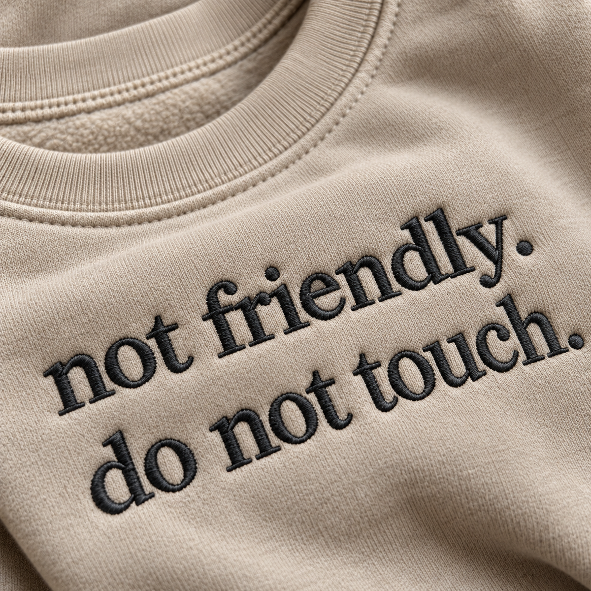 Not Friendly Do Not Touch Embroidered Sweatshirt