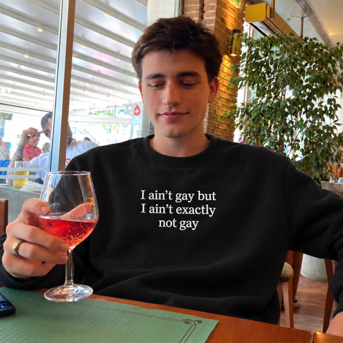 Ain't Gay But Ain't Exactly Not Gay Embroidered Sweatshirt