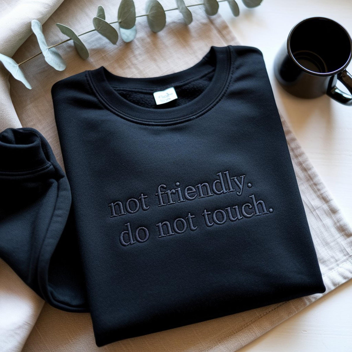 Not Friendly Do Not Touch Embroidered Sweatshirt