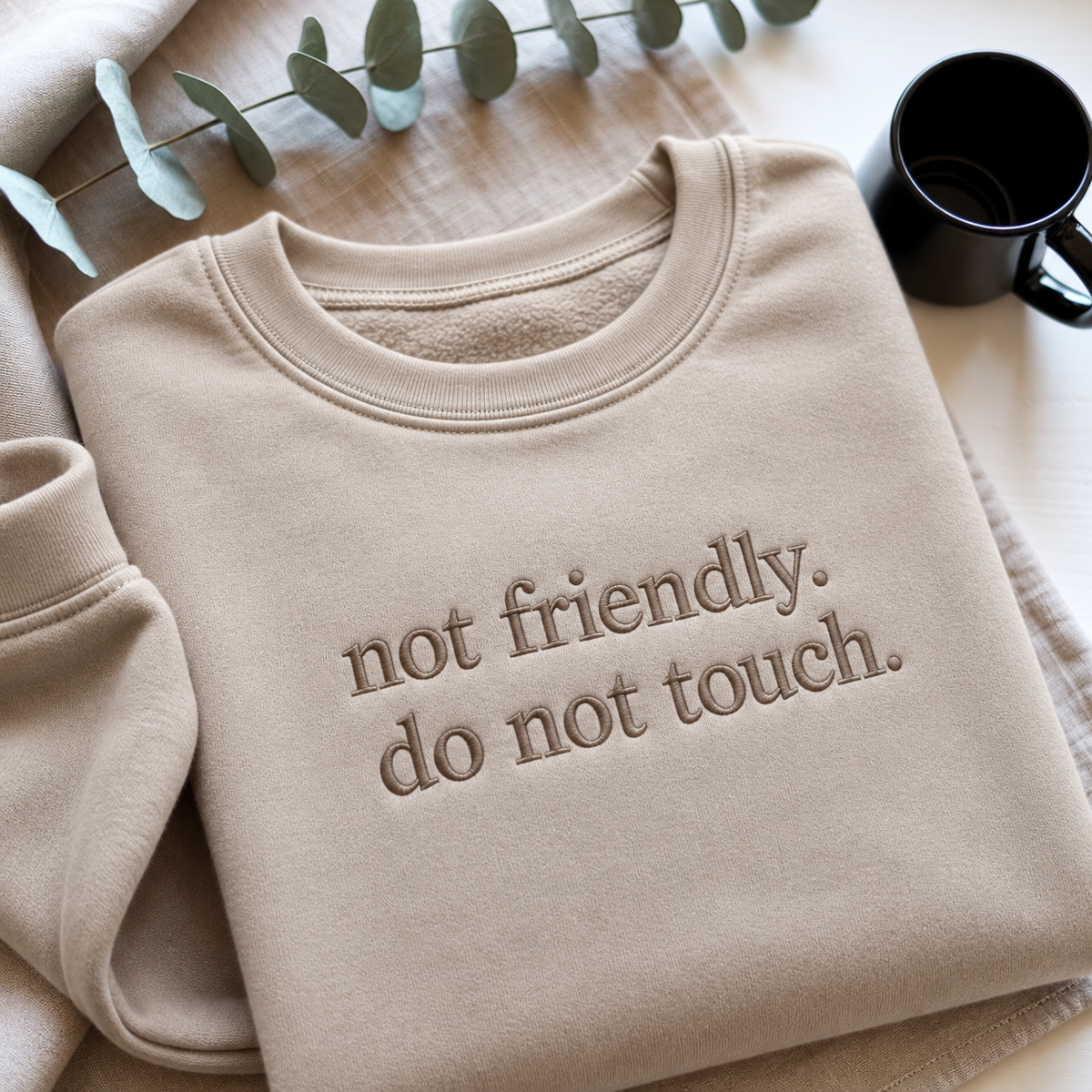 Not Friendly Do Not Touch Embroidered Sweatshirt