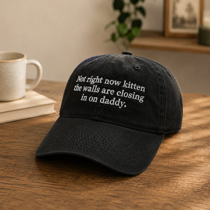 Not Right Now Kittens Embroidered Washed Cap