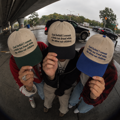 God Forbid I Commit A Little Tax Fraud Embroidered Baseball Hat