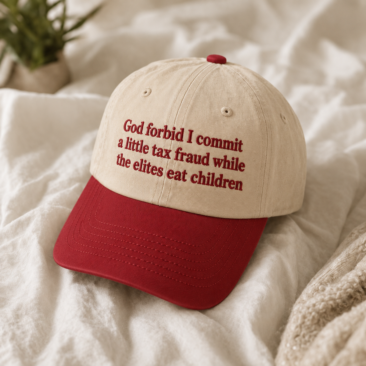 God Forbid I Commit A Little Tax Fraud Embroidered Baseball Hat